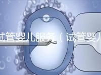 試管嬰兒服務(試管嬰兒服務公司合法嗎)