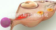 試管嬰兒有什么缺陷(試管嬰兒有什么缺陷和風險)