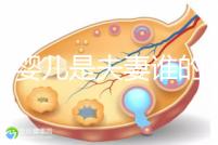 試管嬰兒是夫妻誰的問題(試管嬰兒是夫妻的嗎)