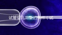 試管嬰兒需要的條件（試管嬰兒需要什么條件）