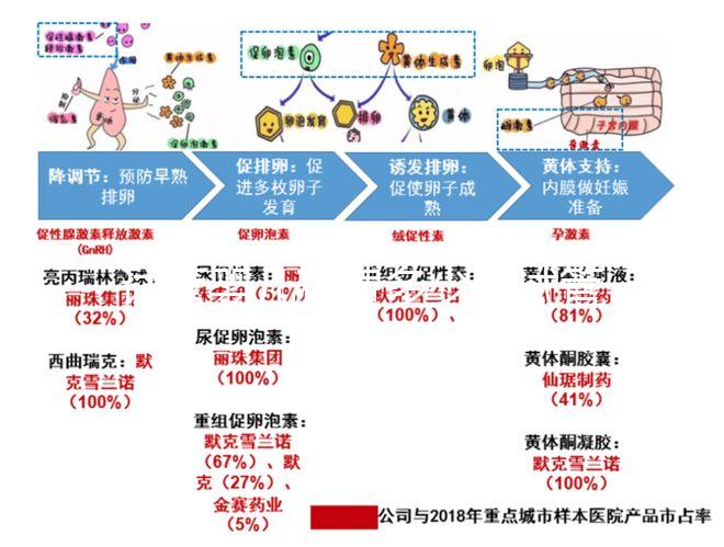 試管嬰兒花費多少(試管嬰兒花費多少錢?)