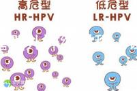 試管嬰兒詳細(xì)過程（試管嬰兒詳細(xì)過程小說）
