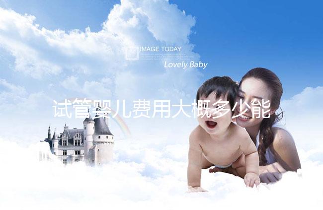 試管嬰兒費用大概多少能出來（試管嬰兒費用大概多少能出來報銷）