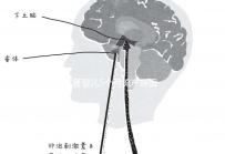 試管嬰兒5個(gè)月流產(chǎn)原因有三，多久能再次移植需慎重考慮