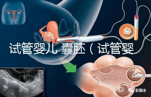 試管嬰兒 囊胚（試管嬰兒囊胚質(zhì)量等級）