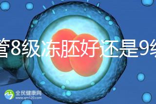 試管8級凍胚好還是9級好進來瞧，看完二者區別全明白