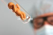 試管 幾天植入(試管 幾天植入最好)