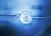 詳訴未婚懷孕女方堅(jiān)持生下來(lái)會(huì)怎樣，影響上戶別不知道