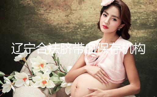 遼寧合法臍帶血保存機(jī)構(gòu)僅沈陽(yáng)一家!想留個(gè)保障錢要備夠