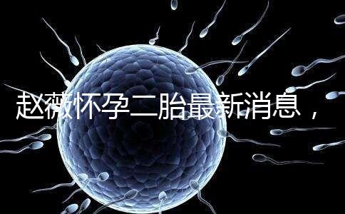 趙薇懷孕二胎最新消息，大肚子照公布網友紛紛送祝福