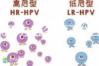 誰說不辦準(zhǔn)生證不能上戶，2020年生育新政策了解下！