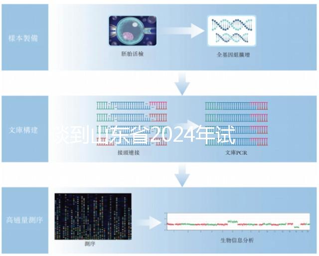 談到山東省2024年試管嬰兒的費用,錢主要花在這些地方