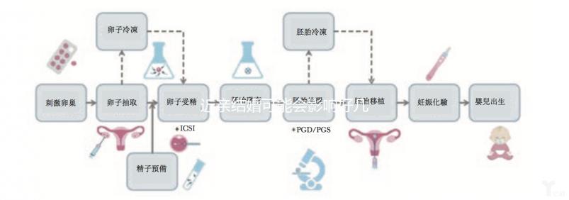 近親結婚可能會影響好幾代人,危害你真的承受不起!