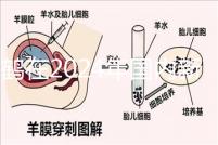 飛鶴在2024年國內(nèi)新生兒奶粉排行榜上排名第一