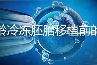 高齡冷凍胚胎移植前的注意事項和禁忌可以清楚地分類嗎？