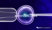 香港供卵試管嬰兒醫院有哪些點？附2024私立機構排名