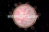 鮮胚移植10天沒測出來怎么辦？從白板到粉印還有希望