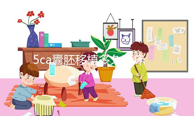 5ca囊胚移植多久著床、有何反應答案來了，第8天白板要警惕