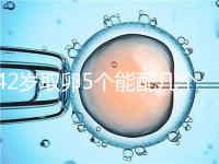 42歲取卵5個能配幾個胚胎難說，只有2個許是技術差導致