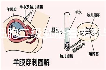 6細胞二級胚胎著床率與養囊成功率解讀,拿不準移植與否戳