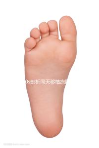 60s剖析同天移植凍胚為什么別人驗(yàn)孕棒兩道杠明顯，趕快get