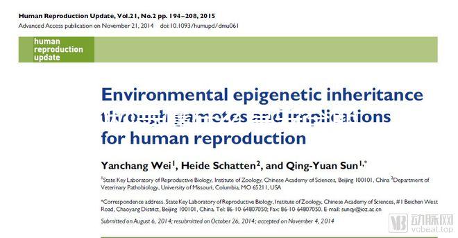 60秒弄懂什么是安全期，女生們別再和黃體期混為一談！