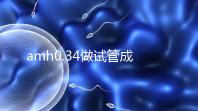 amh0.34做試管成功率高嗎？能取幾顆卵子是關鍵