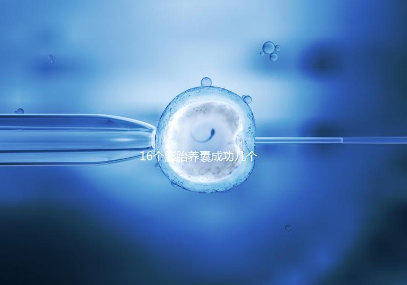 16個胚胎養囊成功幾個說不準,11個概率高不高真不一定