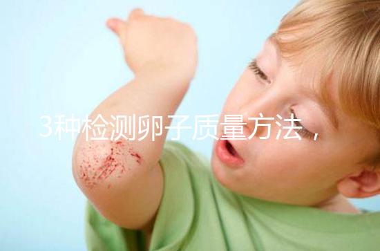 3種檢測卵子質量方法,怎么做才能促進卵泡發(fā)育