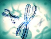 301醫院地址(301醫院地址在哪里)