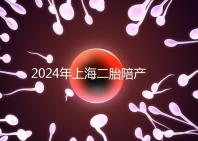 2024年上海二胎陪產假新規定，浦東10天或15天