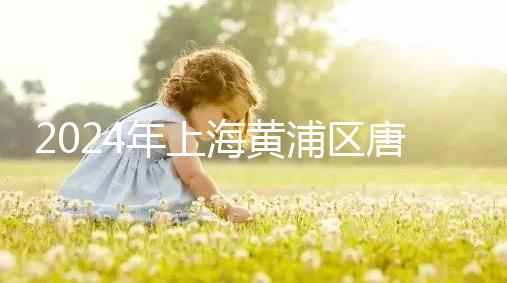 2024年上海黃浦區(qū)唐篩檢查費用不高找到合適的預(yù)約渠道可以免費