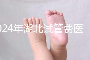 2024年湖北試管費(fèi)醫(yī)療保險(xiǎn)可以報(bào)銷(xiāo)?專家:時(shí)間還沒(méi)到?