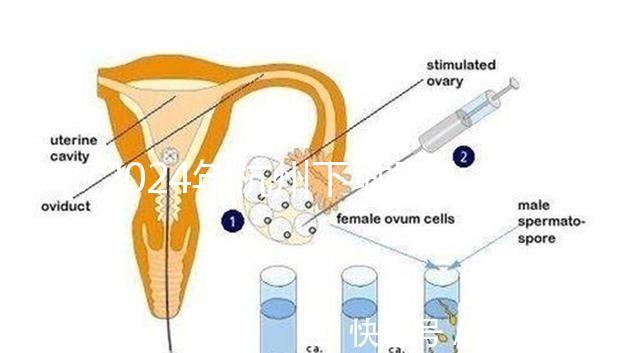 2024年杭州下城區(qū)小學(xué)生入學(xué)條件清單,資料不準(zhǔn)備真的上不去