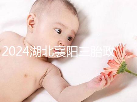 2024湖北襄陽三胎政策最新消息速覽,國(guó)家獎(jiǎng)勵(lì)1萬購房補(bǔ)貼