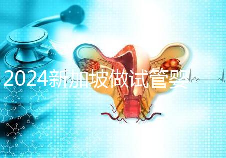 2024新加坡做試管嬰兒醫院排名曝光，最好的私立機構是...