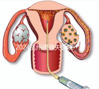 2024杭州邵逸夫醫院專家門診表,醫生上班時間一網打盡!