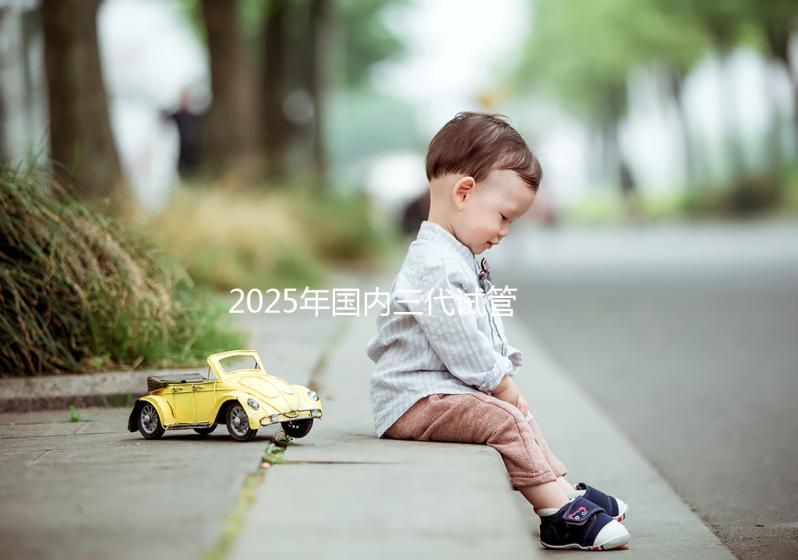 2025年國內(nèi)三代試管嬰兒花費大公開,價格明細表專業(yè)出爐!