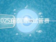 2025在泰國做試管費用預估，助孕一次不到10萬