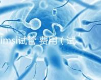 imsi試管 費(fèi)用（試管imsi是什么意思）