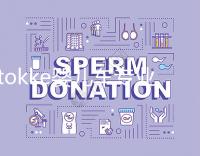 stokke嬰兒車專業(yè)評(píng)測(cè)：安全耐用但性價(jià)比不高